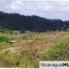 El Encanto Lot A1 for Sale Near TreeCasa