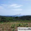 El Encanto Lot A1 for Sale Near TreeCasa