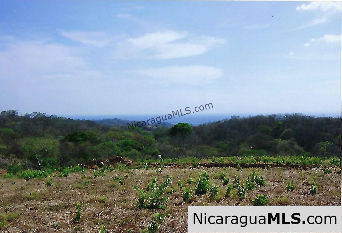 El Encanto Lot A1 for Sale Near TreeCasa