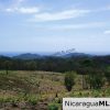 El Encanto Lot A1 for Sale Near TreeCasa