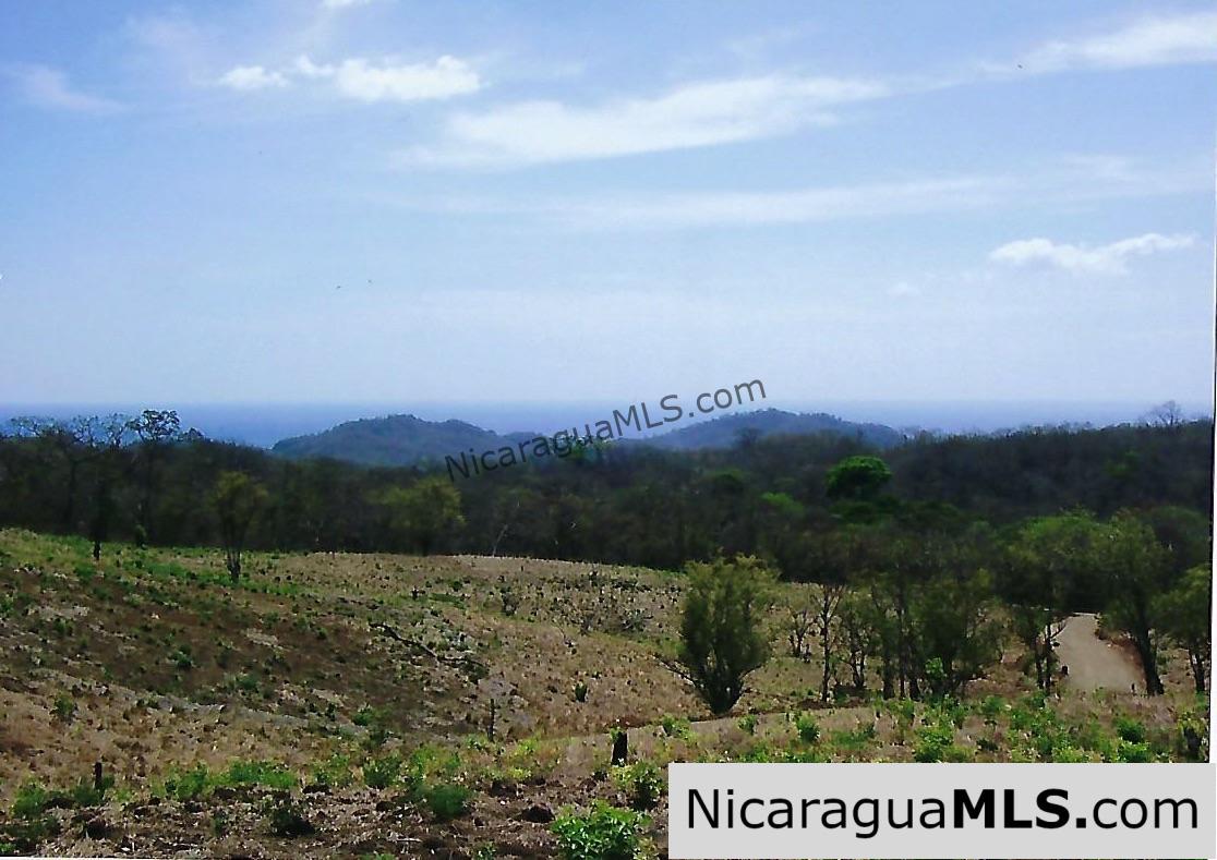 El Encanto Lot A1 for Sale Near TreeCasa