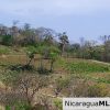 El Encanto Lot A1 for Sale Near TreeCasa