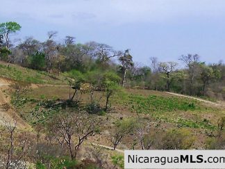 El Encanto Lot A1 for Sale Near TreeCasa