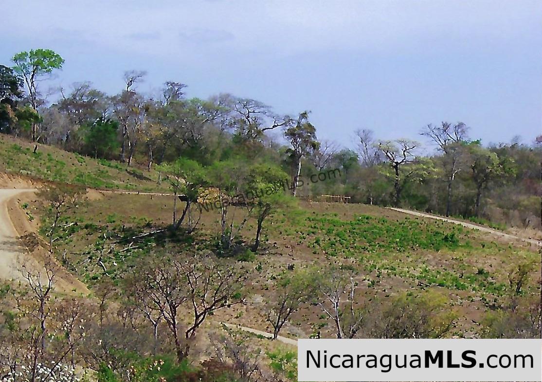 El Encanto Lot A1 for Sale Near TreeCasa