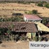 El Limon Dos Property with a Variety of Fruit Trees in Tola
