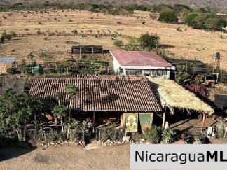 El Limon Dos Property with a Variety of Fruit Trees in Tola