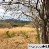 El Oro Flat Lot Ready to Build with Access to Water & Electricity