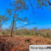 ¾ acre Luxury Lot A10 Encanto del Sur San Juan del Sur