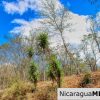 ¾ acre Luxury Lot A10 Encanto del Sur San Juan del Sur