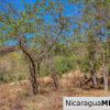 ¾ acre Luxury Lot A10 Encanto del Sur San Juan del Sur