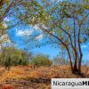 ¾ acre Luxury Lot A10 Encanto del Sur San Juan del Sur