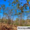 ¾ acre Luxury Lot A10 Encanto del Sur San Juan del Sur