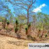 ¾ acre Luxury Lot A10 Encanto del Sur San Juan del Sur