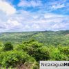 A Naturally Stunning Ecological Homesite Lot 32 Las Fincas