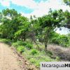 A Naturally Stunning Ecological Homesite Lot 32 Las Fincas