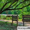 A Naturally Stunning Ecological Homesite Lot 32 Las Fincas