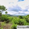 A Naturally Stunning Ecological Homesite Lot 32 Las Fincas