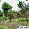 A Naturally Stunning Ecological Homesite Lot 32 Las Fincas