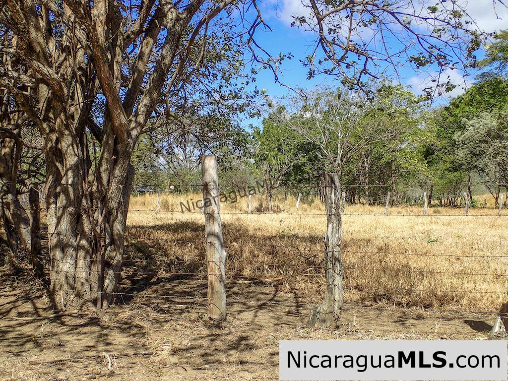 1 Manzana Lot for Sale in front of Surf Ranch