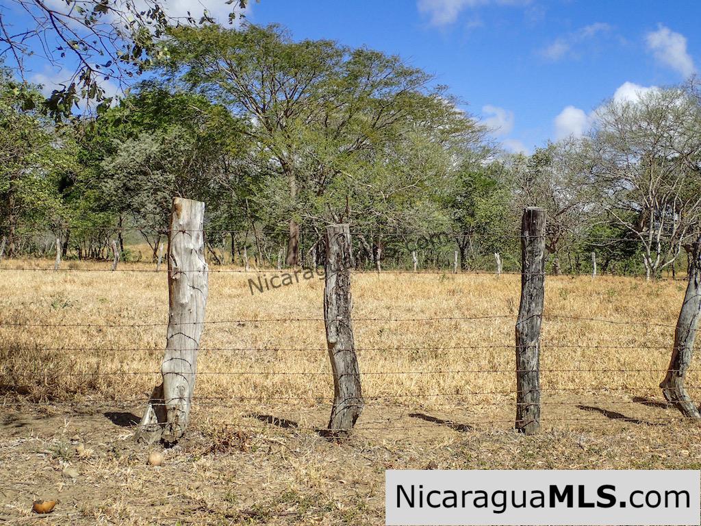 1 Manzana Lot for Sale in front of Surf Ranch