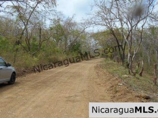 Heavily Wooded 9 Manzana Property with Ocean Views