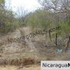 Heavily Wooded 9 Manzana Property with Ocean Views