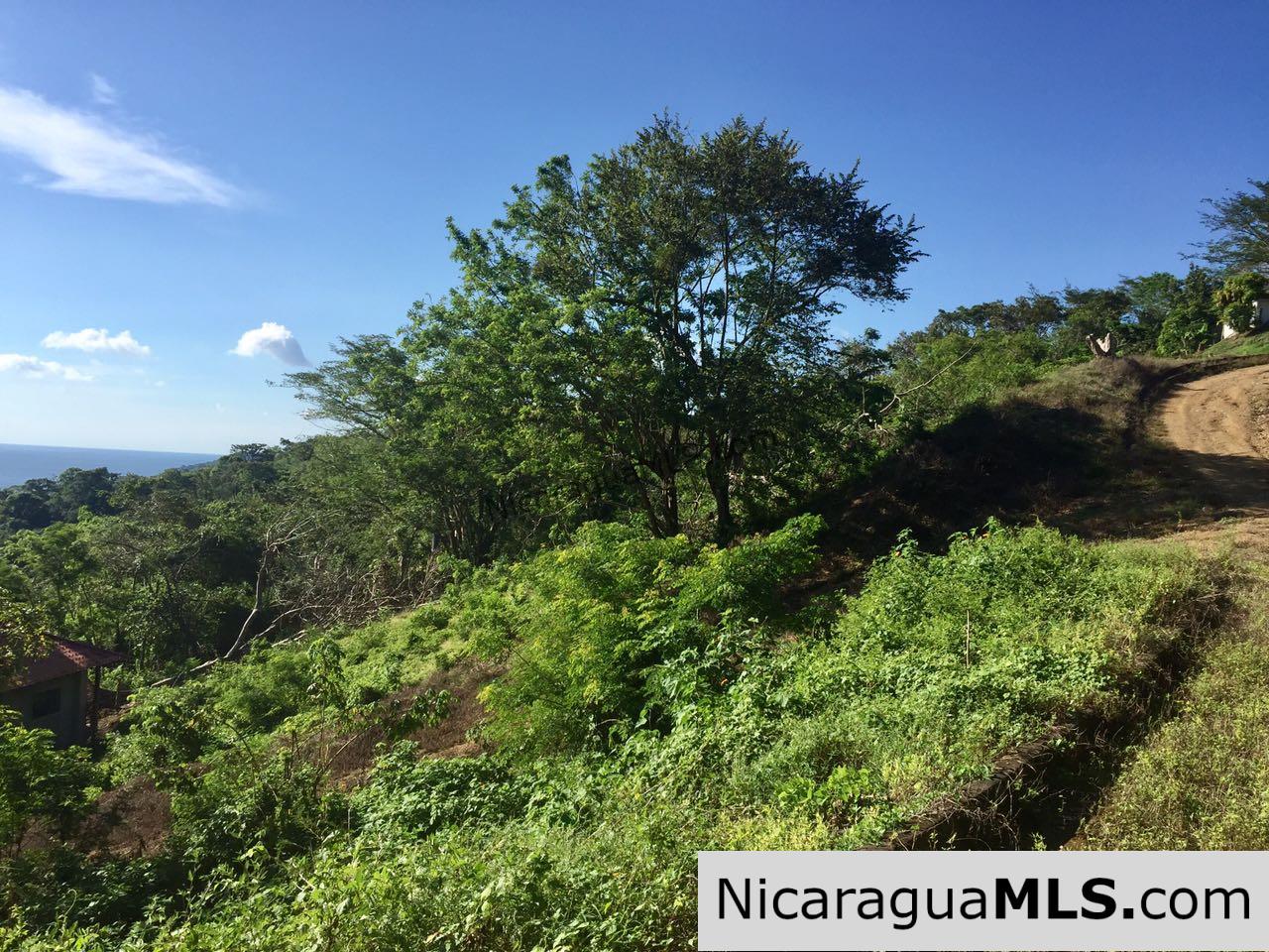 Amazing view over Playa Maderas