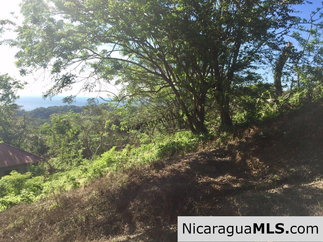 Amazing view over Playa Maderas
