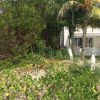 Beachfront lot Playa El Coco