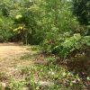 Beachfront lot Playa El Coco