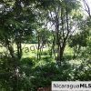 Large Commercial Property at SJDS Town Limits