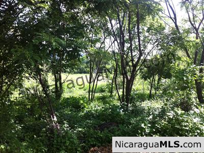 Large Commercial Property at SJDS Town Limits