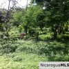 Large Commercial Property at SJDS Town Limits