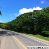 Large Commercial Property at SJDS Town Limits