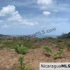 Amazing Ocean Views and Direct Access to Tree Casa Resort