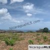 Amazing Ocean Views and Direct Access to Tree Casa Resort