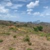 Amazing Ocean Views and Direct Access to Tree Casa Resort
