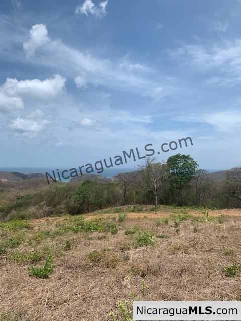 Amazing Ocean Views and Direct Access to Tree Casa Resort