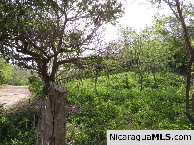 Large Piece South of San Juan del Sur