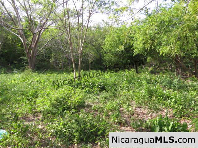 Large Piece South of San Juan del Sur