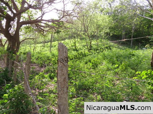 Large Piece South of San Juan del Sur