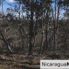 Playa Maderas Bargain 3.1 Acre Property