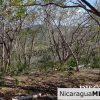Playa Maderas Bargain 3.1 Acre Property