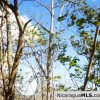 Playa Maderas Bargain 3.1 Acre Property