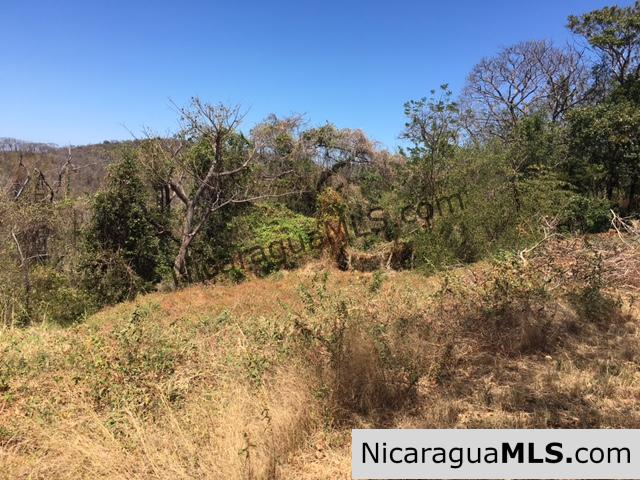 Cantamar de Yankee Lot 39