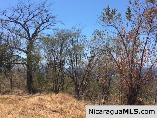 Cantamar de Yankee Lot 39