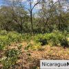 Playa Maderas Bargain 3.1 Acre Property