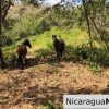 Playa Maderas Bargain 3.1 Acre Property
