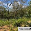 Playa Maderas Bargain 3.1 Acre Property