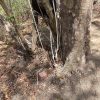 Small ocean view lot at Playa Maderas